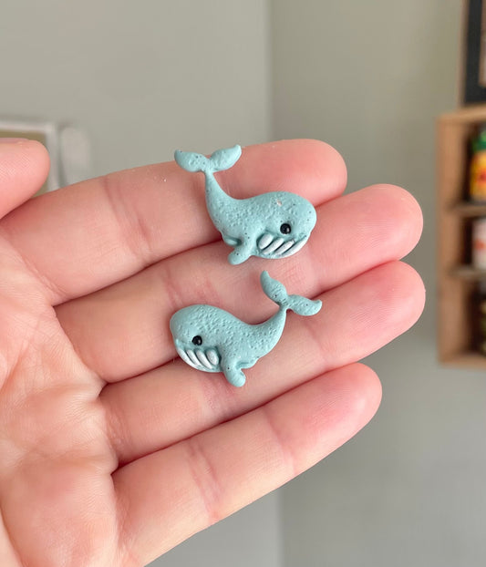 Whale C
